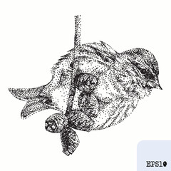 Bird redpoll. Animal portrait. Graphic ink drawing, pointillism art - 786607506