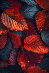 Detailed view of a cluster of leaves, suitable for nature themes