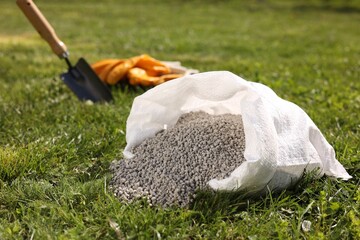 Granulated fertilizer in sack on green grass outdoors, closeup. Space for text
