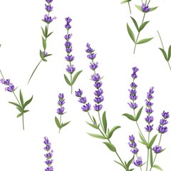 Obraz premium Fresh lavender flowers on a clean white background, perfect for spa or aromatherapy themes