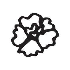 vector doodle illustration of flower