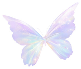 PNG  Butterfly backgrounds outdoors nature