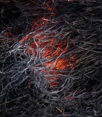 magical inferno, burning grass - 786625779