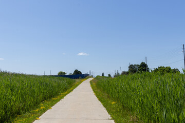 Fototapeta na wymiar Clear blue sky - concrete path cutting through vibrant green grass. Taken in Toronto, Canada.