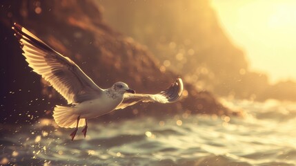 Seagull also known as mew bird is a type of gull seabird