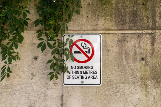 No smoking sign - affixed to a concrete wall - partially obscured by overgrown green leaves. Taken in Toronto, Canada.