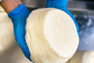 The process of making ricotta cheese, mozzarella. The hands of the cheesemaker hold the cheese...