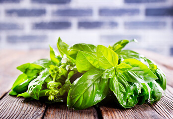 fresh basil on wooden table, basil leaf