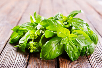 fresh basil on wooden table, basil leaf