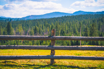Fototapeta premium a fence for sheep on a pasture in the mountains among the woods 