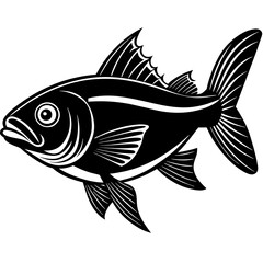 fish illustration