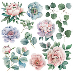 Charming watercolor clipart pack showcasing peonies and eucalyptus in delicate pastel hues, ideal for crafting stationery, posters, and digital backgrounds