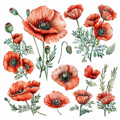 Obraz premium Captivating watercolor poppy clipart set in pastel hues, perfect for adding a touch of elegance to stationery, art prints, and social media graphics.