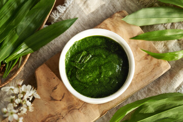 Green pesto sauce made of fresh bear's garlic leaves - wild edible plant harvested in early spring