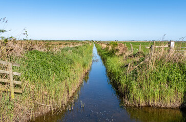 Drainage dyke or ditch in Upton marshes, Norfolk Broads