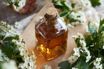 A bottle of herbal tincture with fresh hawthorn flowers - 786639975
