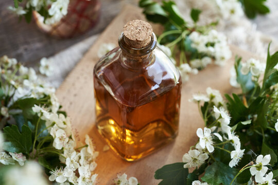 A bottle of herbal tincture with fresh hawthorn flowers