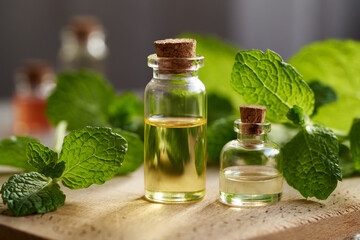 Two glass bottles of aromatherapy essential oil with peppermint leaves