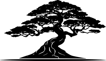 Bonsai tree icon isolated on white background	
