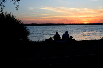 People silhouette with their  pet dogs by the river's edge.