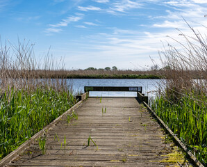 Fototapeta premium Wooden fishing stage in the reeds on the Bure River in the Norfolk Broads National Park