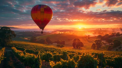 Türaufkleber Hot-Air Ballooning Over Lush Vineyards © EwaStudio
