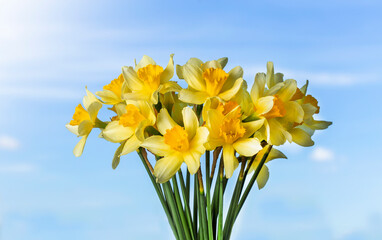 a bouquet of yellow daffodil flowers in a light vase against a blue sky