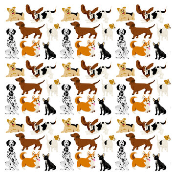 Patr&oacute;n de perros / dog pattern