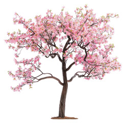 Naklejka premium PNG One sakura blossom flower plant tree