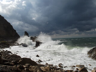 Cruel Wave