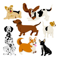 Conjunto de perros / dogs set