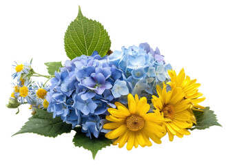PNG Bouquet from blue hydrangeas and yellow asters sunflower plant petal