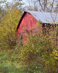 Almost Forgotten Barn