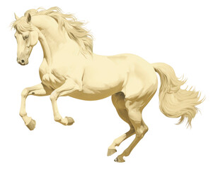 Obraz na płótnie Canvas PNG Illustration of horse stallion animal mammal