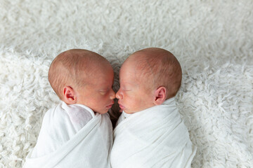  twins. newborn boys twins. newborn photo shoot