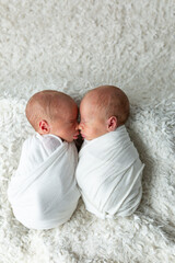  twins. newborn boys twins. newborn photo shoot