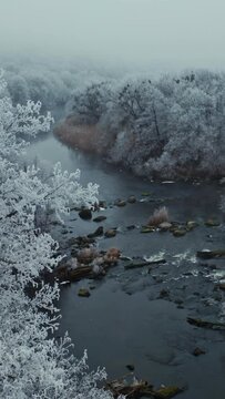 Nature scene in winter. White frozen trees over the river in cold season. Shallow river in the forest. Trees under snow. Aerial view. Vertical video