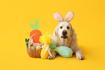 Cute Labrador dog in bunny ears with Easter basket and gift eggs on yellow background