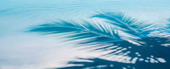 Shadow of some palm trees reflecting in the water of a beach - copy space