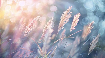 Detailed view of tall grass, perfect for nature backgrounds. - obrazy, fototapety, plakaty
