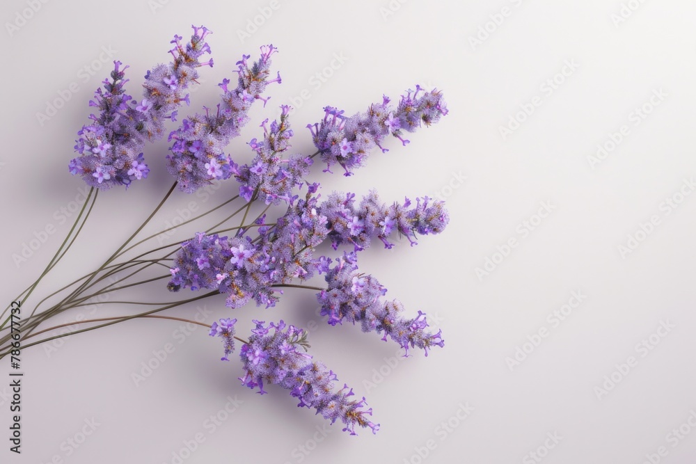 Poster Vibrant purple flowers displayed on a clean white background. Perfect for adding a pop of color to any project