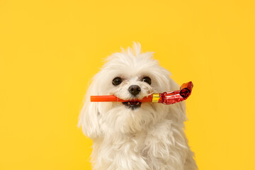 Cute Bolognese dog with party whistle celebrating Birthday on yellow background
