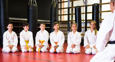 Group of positive preteen children greeting karate coach at sport gym © JackF