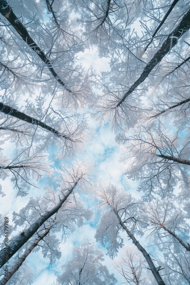 Aufkleber a unique perspective of a forest from ground level. perfect for nature enthusiasts