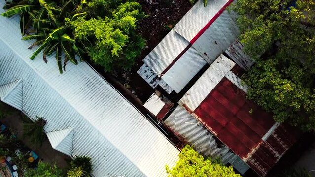 Aerial Top Forward Shot Of Roofed Houses Amidst Green Trees - Puerto Princesa, Philippines