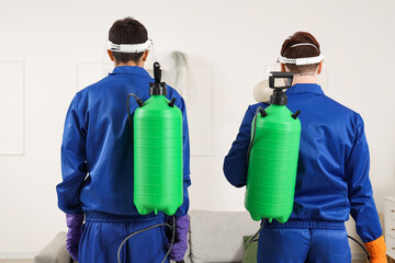 Male workers with disinfectant in room, back view