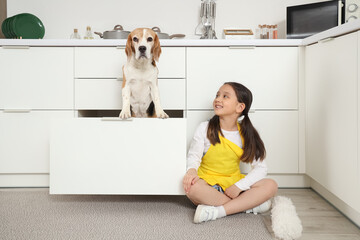 Cute little Asian girl with Beagle dog in kitchen drawer at home
