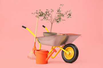 Plant, watering can, rake and wheelbarrow on pink background