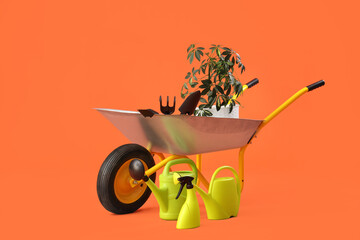 Plant, gardening supplies and wheelbarrow on orange background