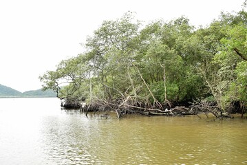 Paraná, um pouco do litoral, em paranaguá.